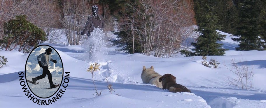 Best Snowshoeing Trails Tahoe