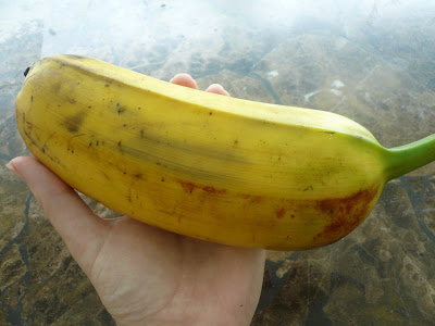 biggest banana