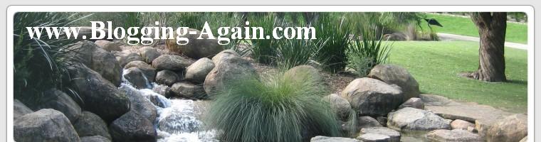 Blogging-Again