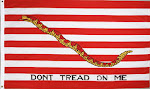 The "First Navy Jack"