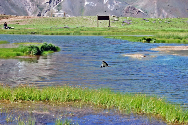 Laguna espejo - Argentina