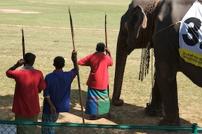 [elephF_0206_3165.jpg]