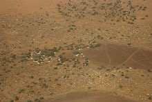 White tents of new arrivals in Zamzam camp