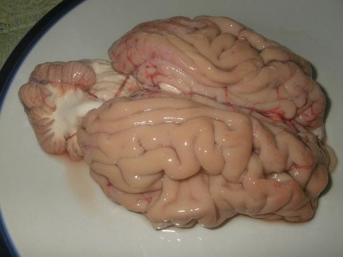 From The Kitchen To His Stomach Otak Lidah Lembu