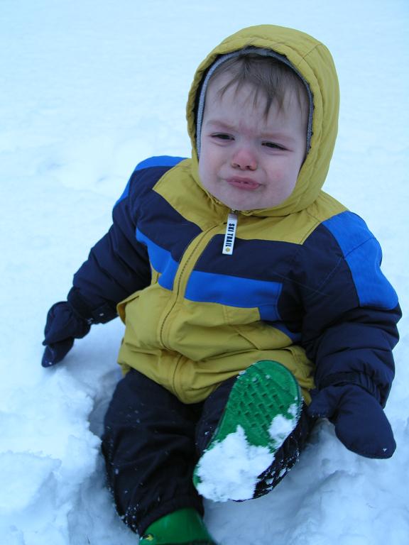 [nomoresnowsml.JPG]