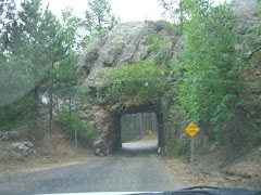 Iron Mountain Road