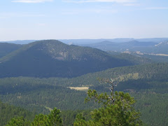View from Mt. Coolidge Fire Tower