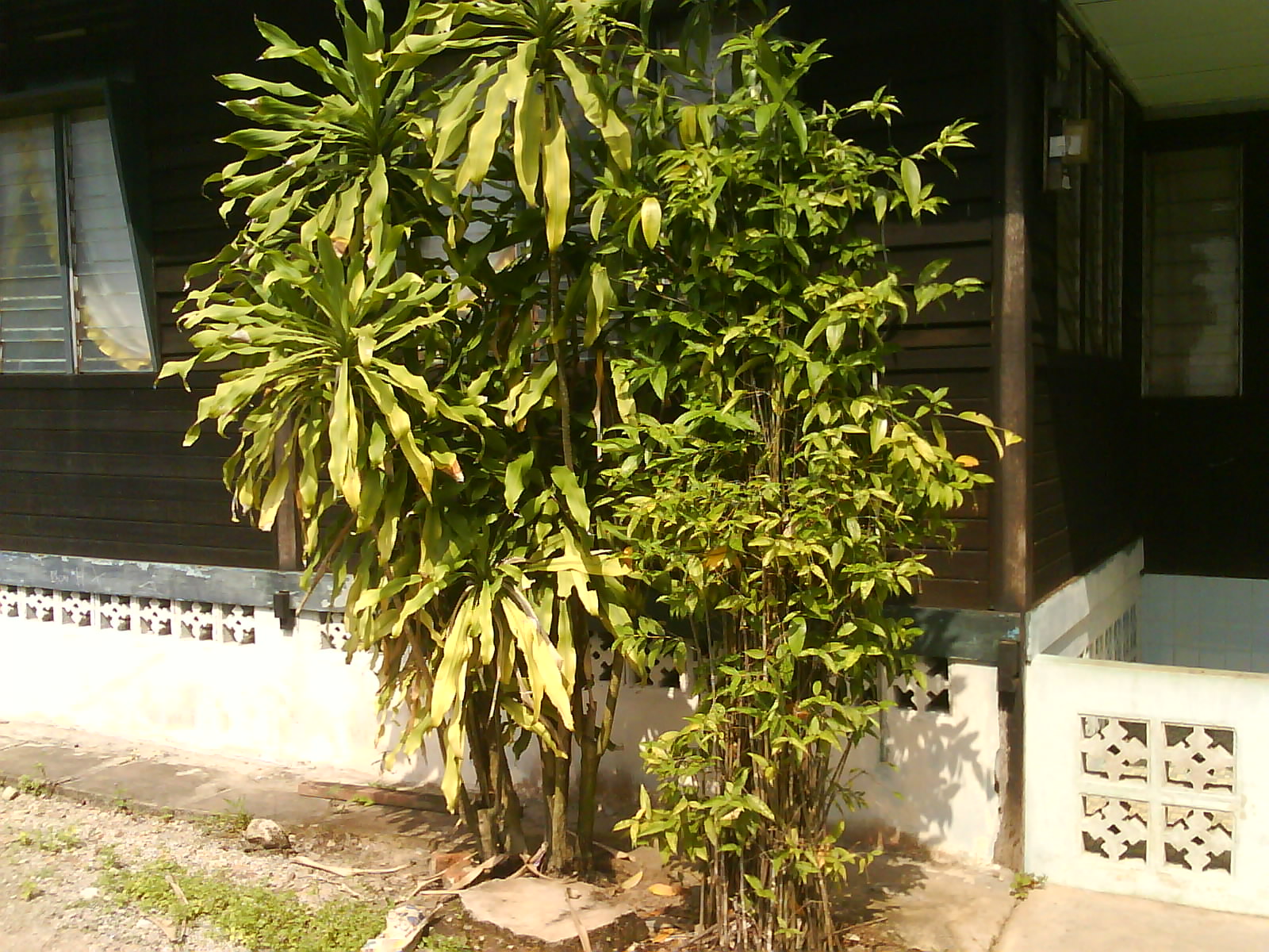 [DSC09820.JPG]