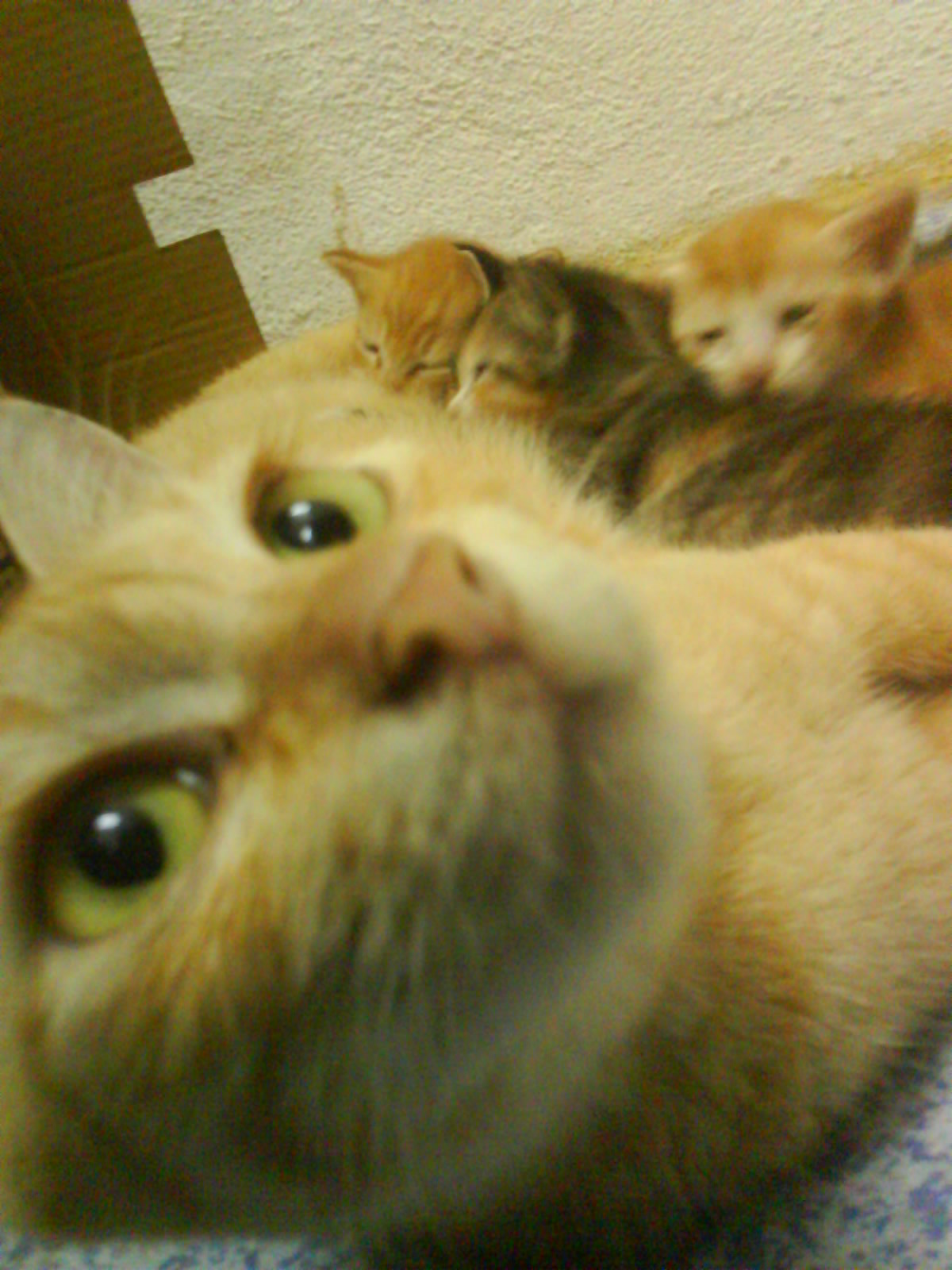 [DSC00106.JPG]