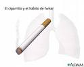 [tabaco.jpg]