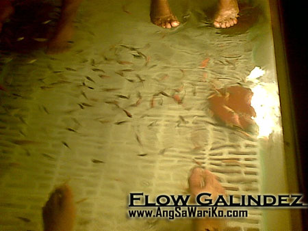 sexvideo fish spa stockholm sexvideo fish spa stockholm