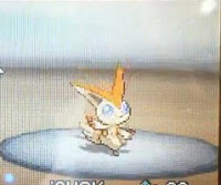 Pok�mon Editionen Schwarz & Wei� [Archiv] - WrestlingGamesBoard