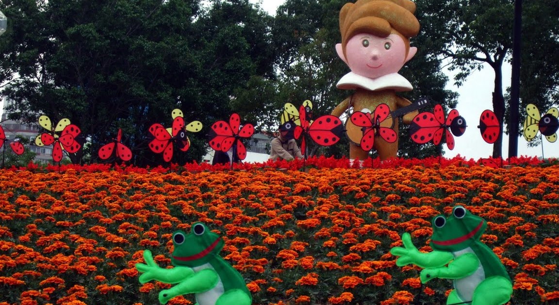 Flower Expo Taipei Flower ดอกไม้ Garden สวน Florists Flora Plant Tree