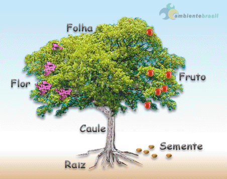 [arvore_educativa.gif]