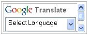 Google translate widget