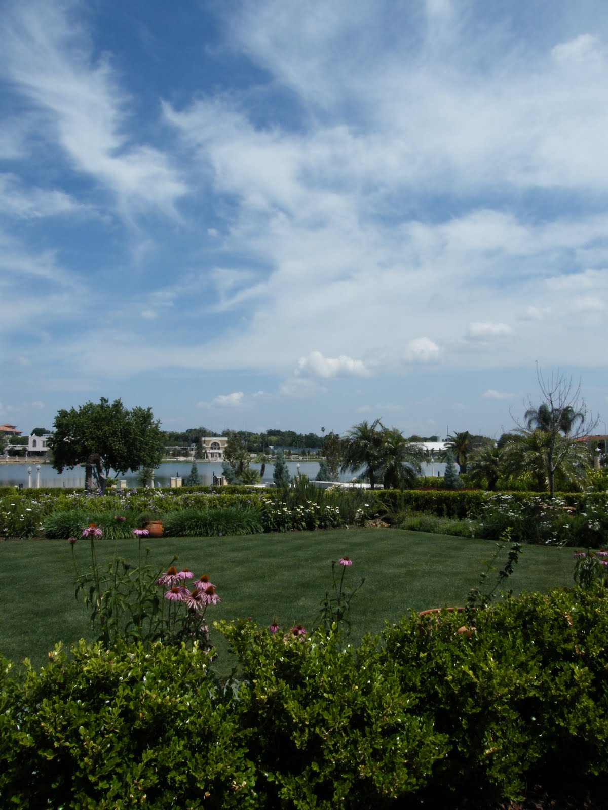 Central Florida Gardener: Taking Better Pictures in the Garden: Part 3