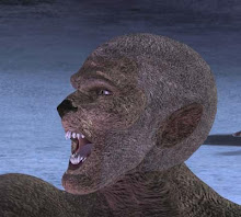Namibian Night Stalker