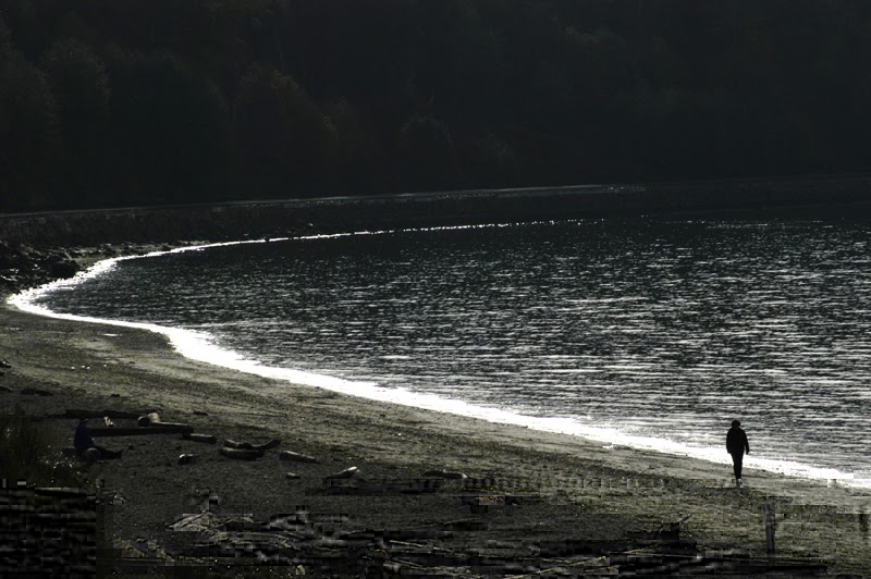 Woh Bheege Pal Woh Bheegi Yaadein