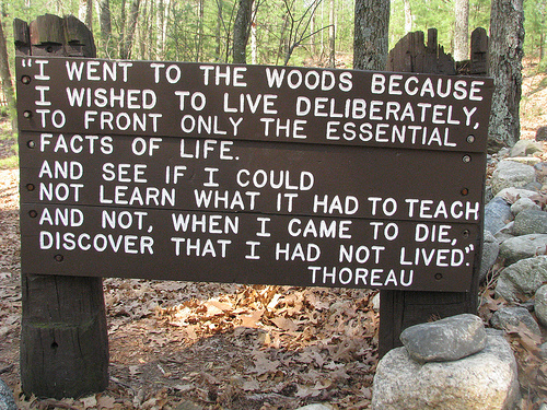 David Henry Thoreau Quotes I Went To The Woods