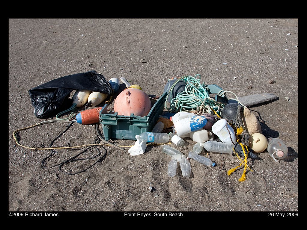 [Litter+on+sand.jpg]