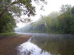 A river in the morning