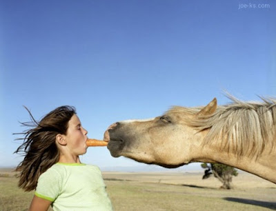 Horse_Eating_Carrot_Out_of_Womans_Mouth.jpg