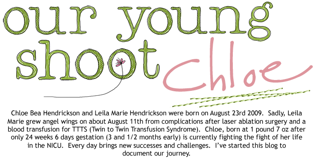 Our Young Shoot Chloe