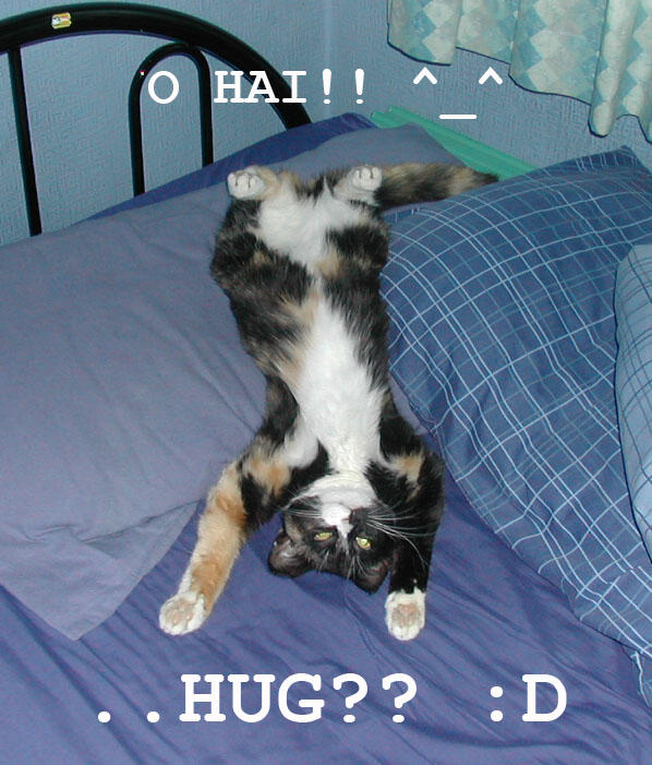 [hugs-plz.jpg]