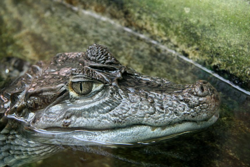 [IMG_3316_2+klein+.JPG]