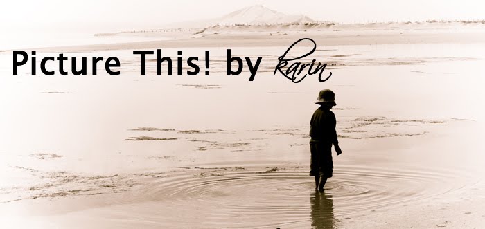 Picture This! by karin