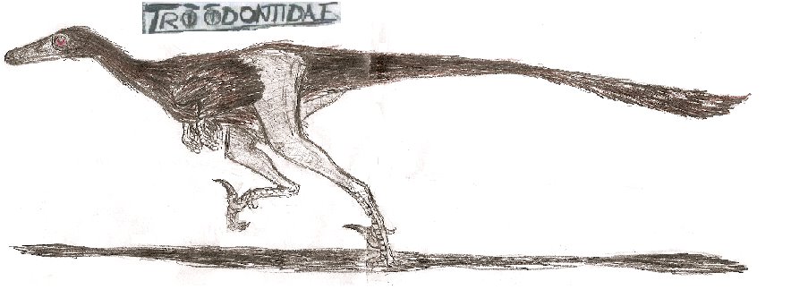 Troodontidae