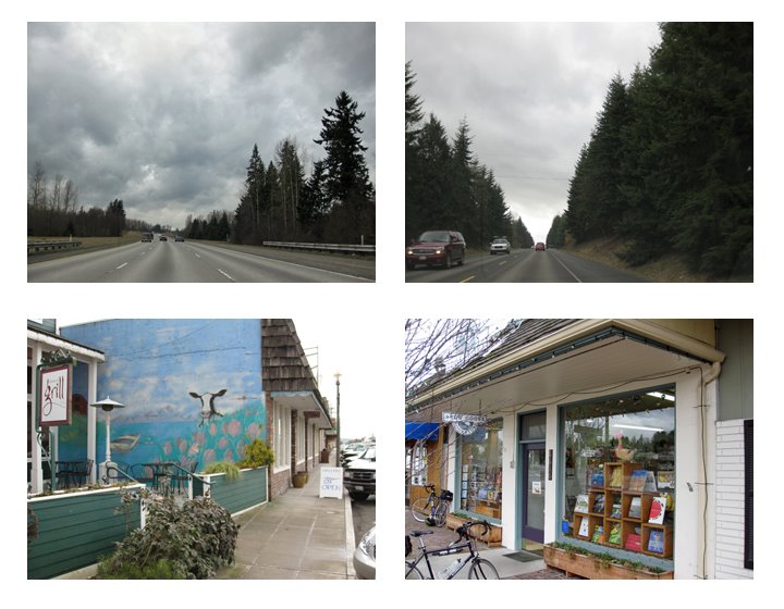 [The+Snow+Goose.jpg]