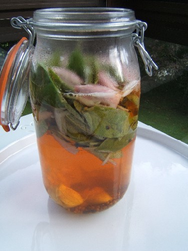 [ac1ca61dea7cc441483bd8183f2ac29a.jpg]