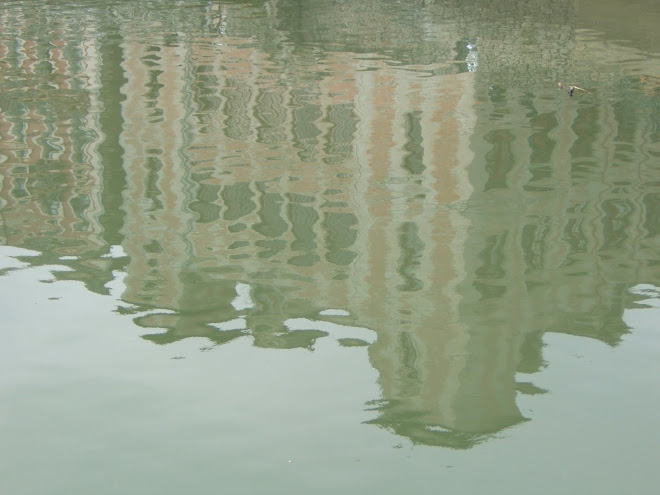 Reflets de la maison de l\