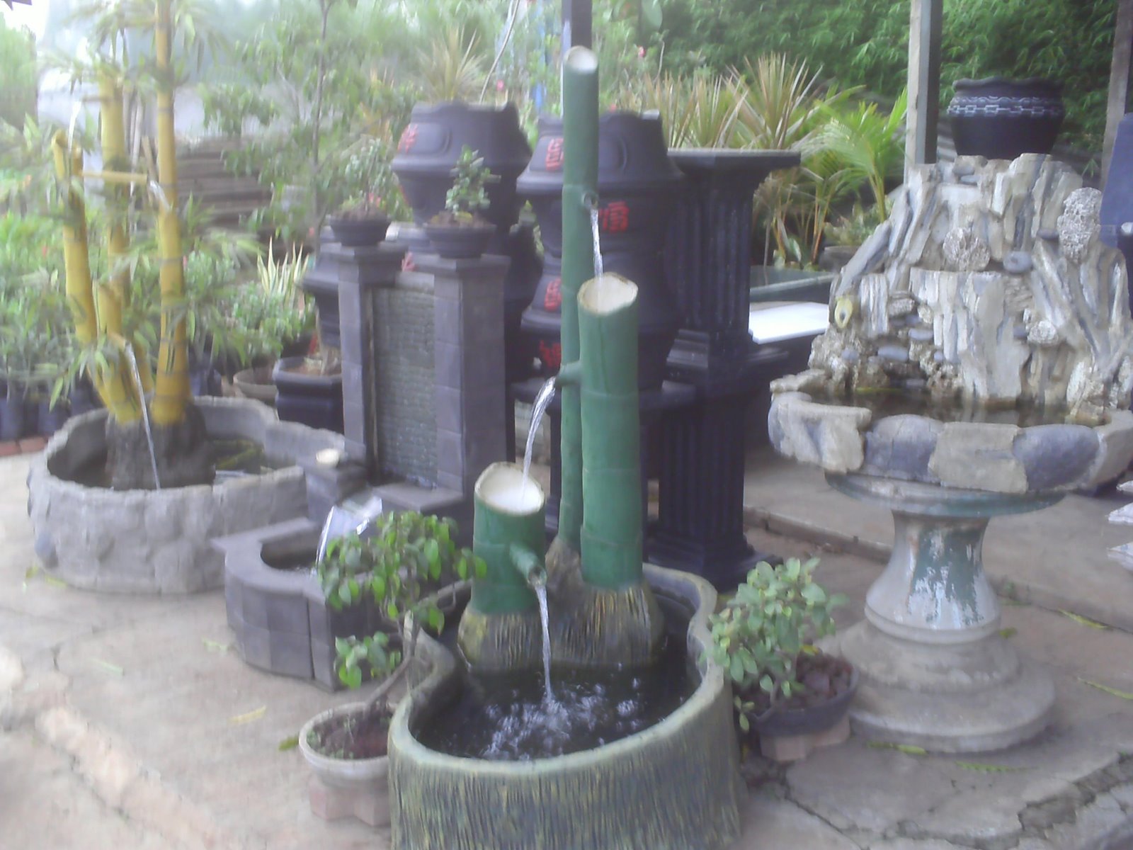 [PICT0335.JPG]