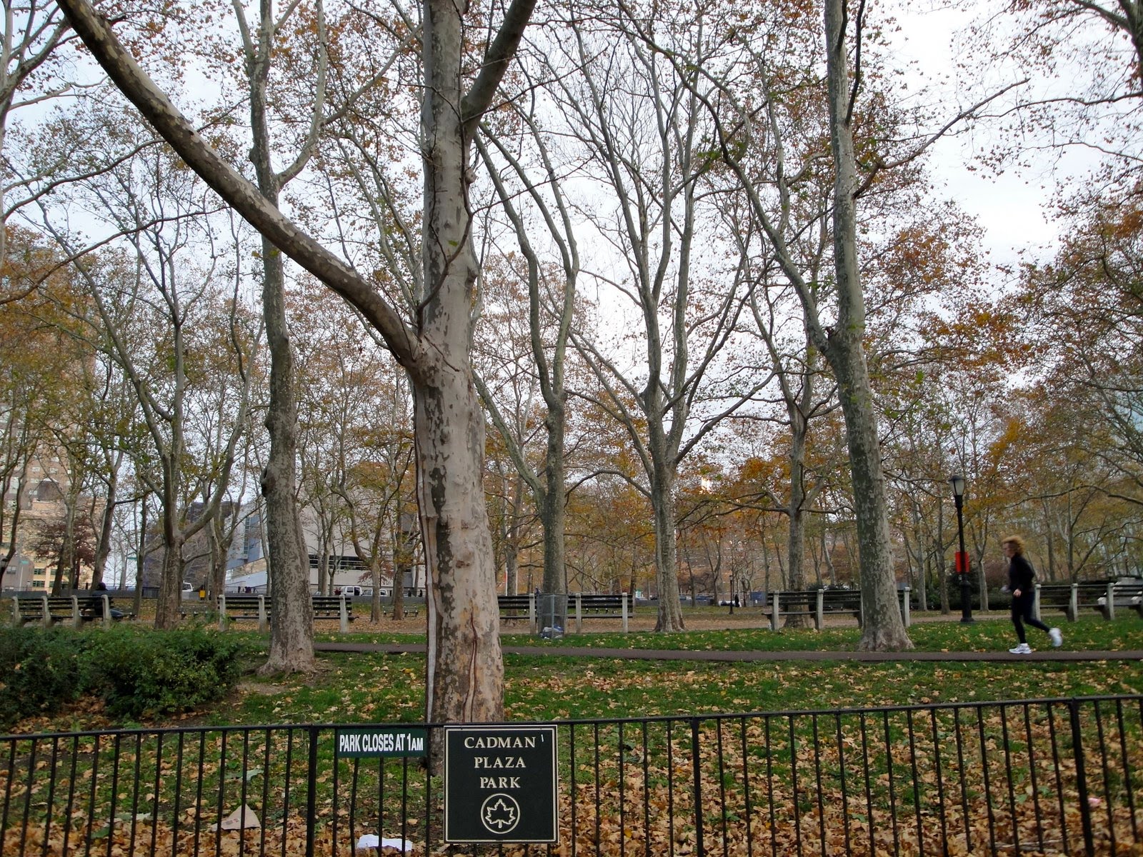cadman plaza park