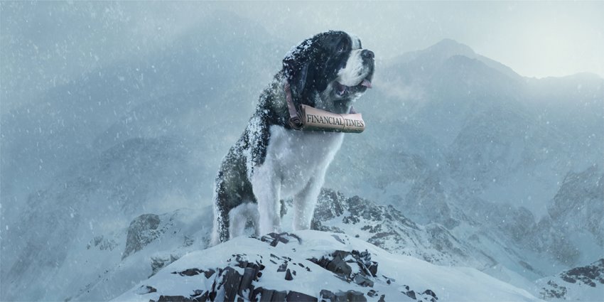 [FT+StBernard_72dpi.jpg]