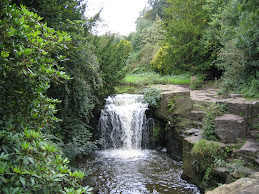 Dene Waterfall