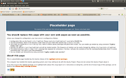 step to open terminal. ApplicationAccessoriesTerminal Install lighttpd (screenshot )