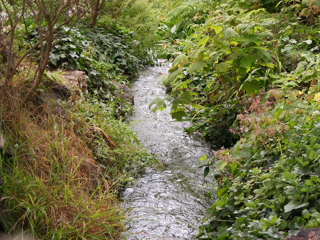 golden gate park
