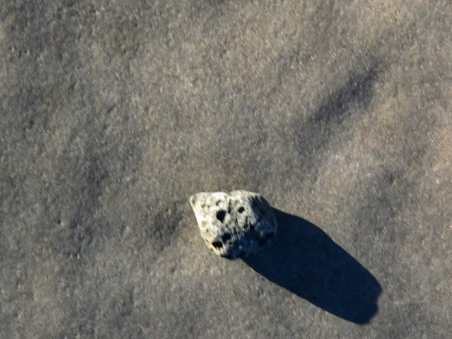 Meteor Resting on Meteor--Dark Side Of Moon Observation