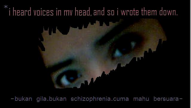 i heard voices in my head.and so i wrote them down.