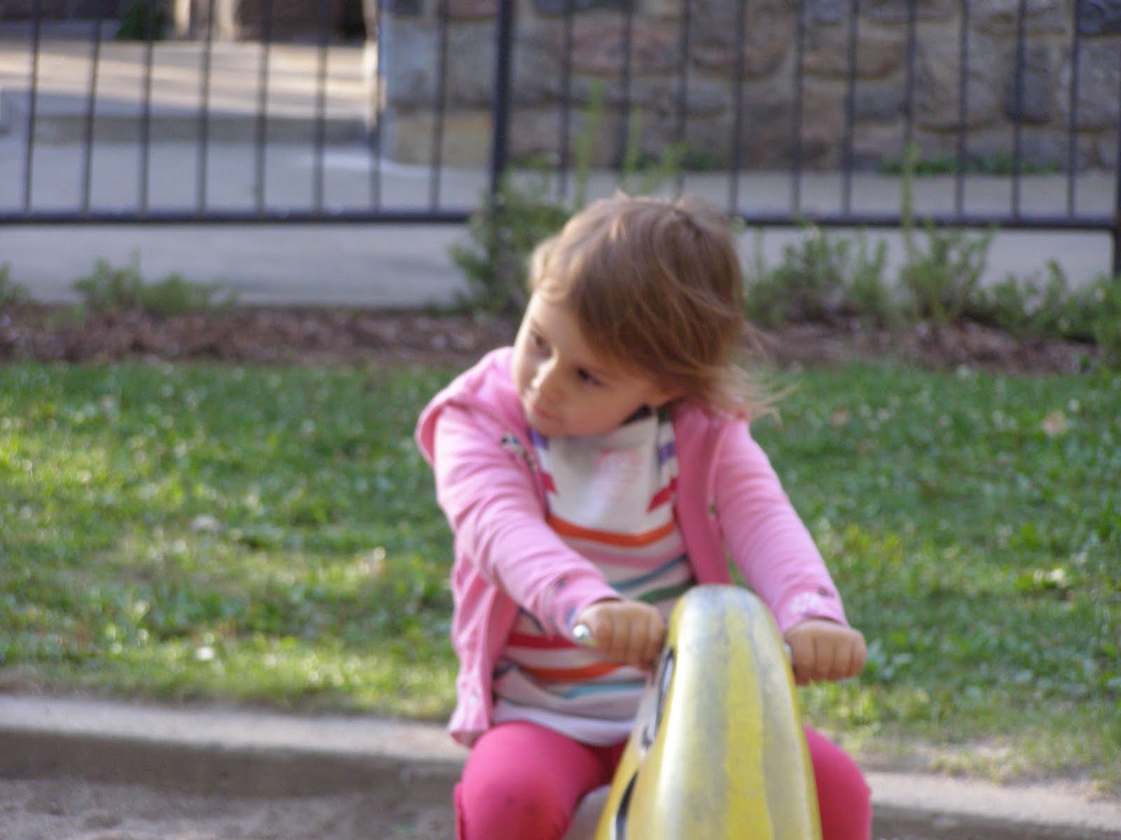 [August2009_0082.JPG]