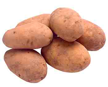 [batata-9.jpg]
