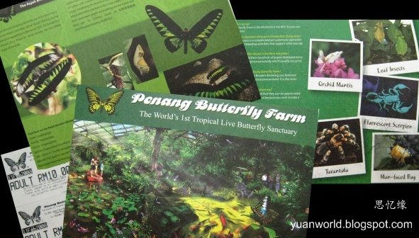 [butterfly+post+card.jpg]