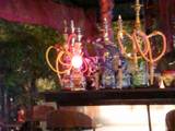 [th_shisha5.jpg]