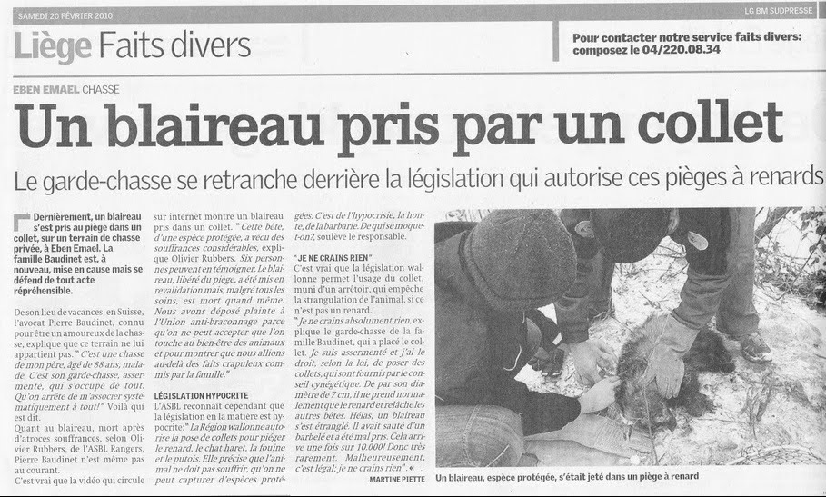 [lameuse4.jpg]