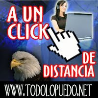 www.todolopuedo.net