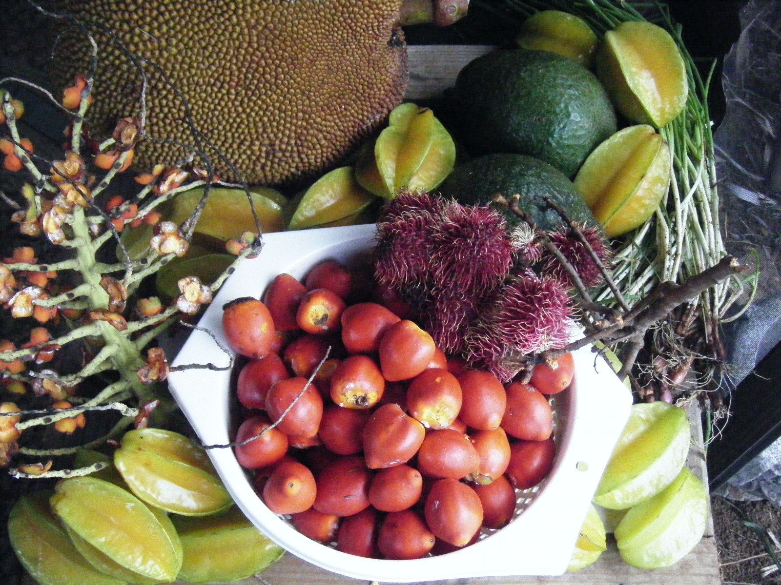 Hawaii Timewarp First Impressions of the Big Island of Hawai'i, Tastes