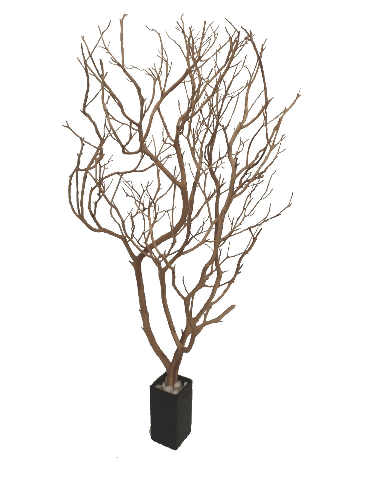manzanita branches from artisans manzanita manzanita branches from artisans manzanita